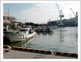 臼杵漁港のイメージ画像①